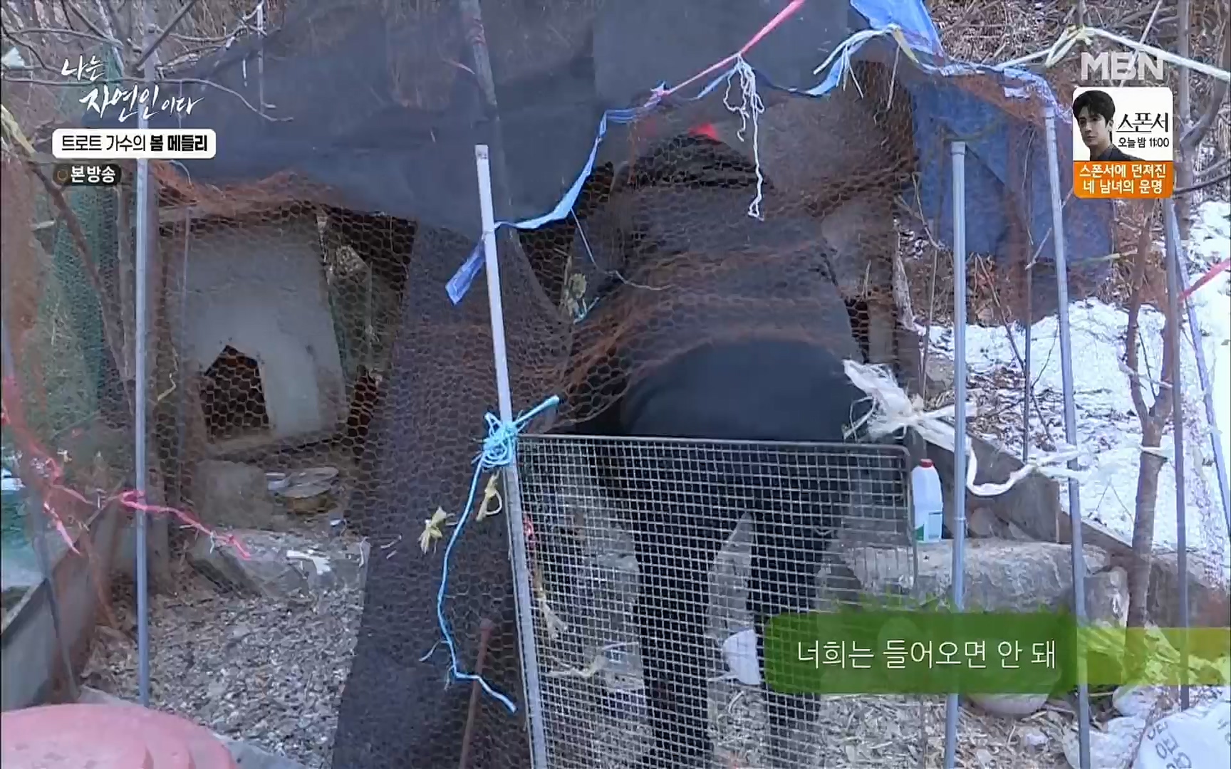 나는 자연인이다.E494.220323p.H264-F1RST.mp4_20220324_183910.370.jpg