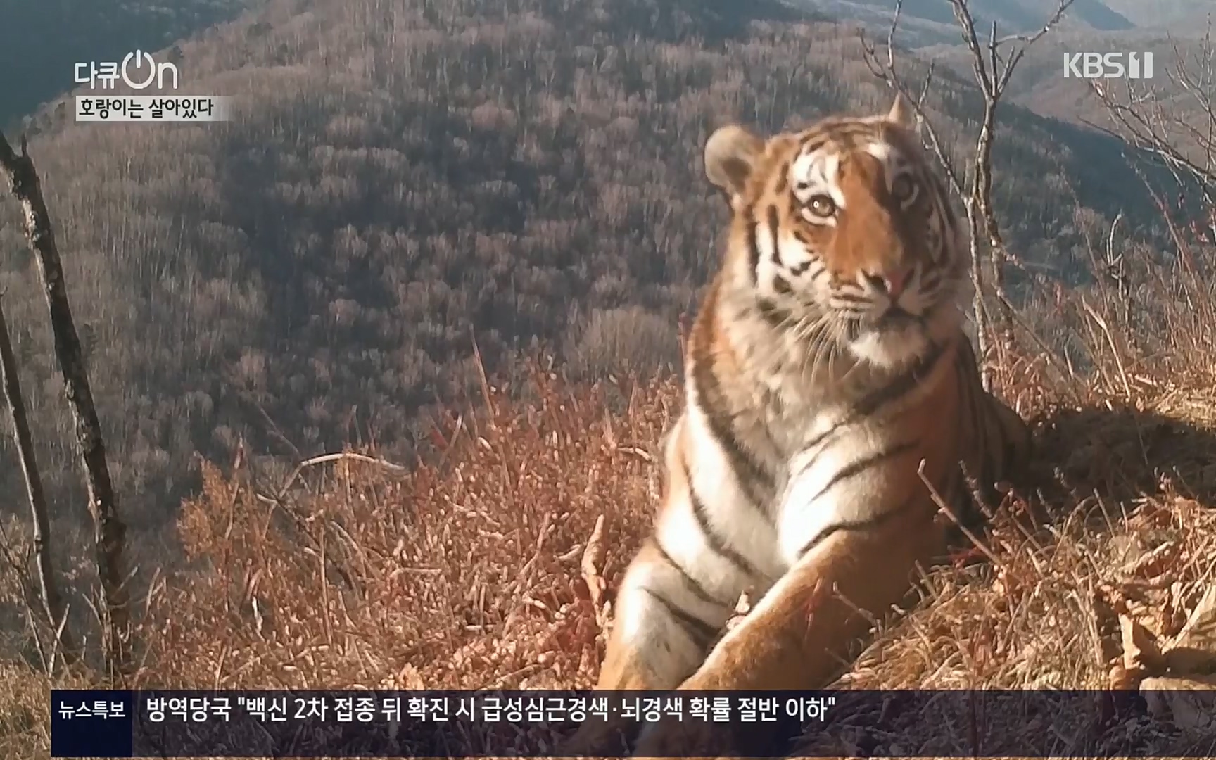 다큐 On.E150.220729p.H264-F1RST.mp4_20220730_164038.976.jpg