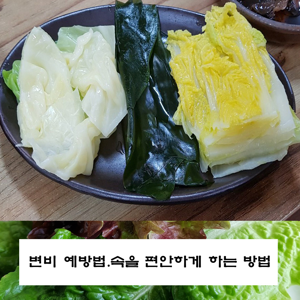  변비.변비 예방법.뱃속을 편안하게 하는 방법
