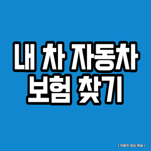 내 차 보험 찾기