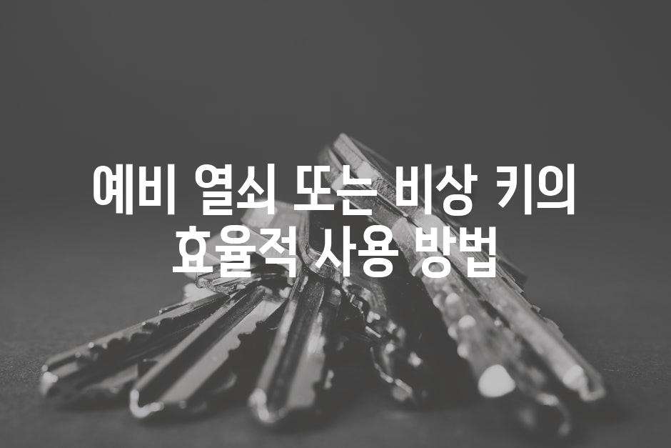 예비 열쇠 또는 비상 키의 효율적 사용 방법