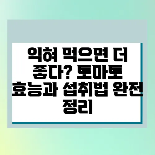 익혀 먹으면 더 좋다? 토마토 효능과 섭취법 완전 정리