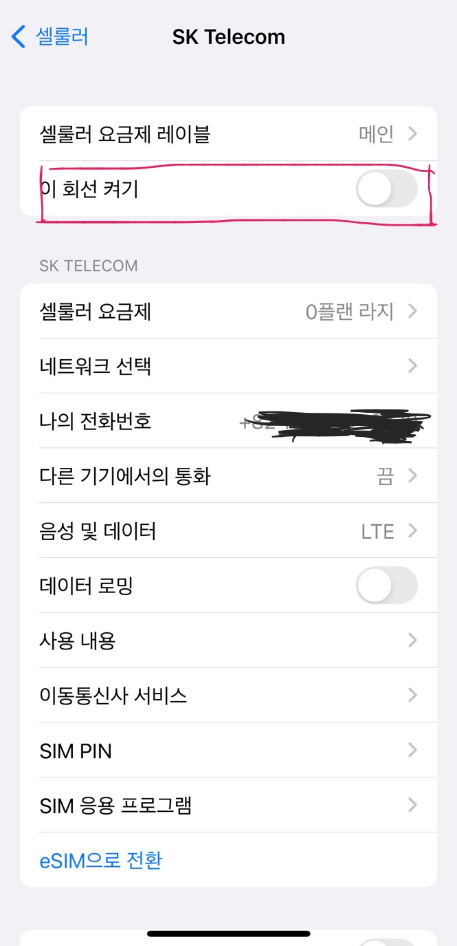 e-sim 설명 사진
