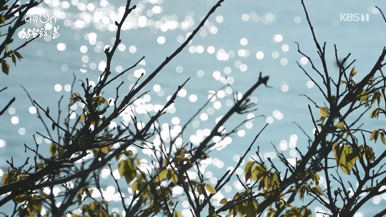 다큐 온.E249.240526p-NEXT.mp4_20240526_152349.992.jpg