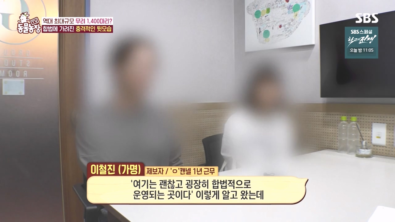 TV 동물농장.E1142.231023p-NEXT.mp4_20231022_172009.995.jpg