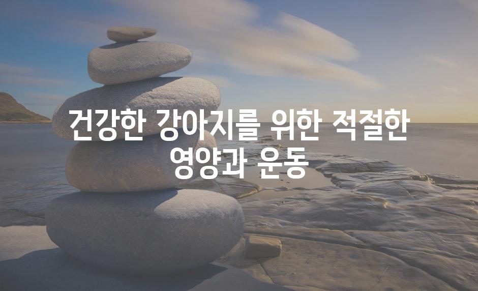 건강한 강아지를 위한 적절한 영양과 운동