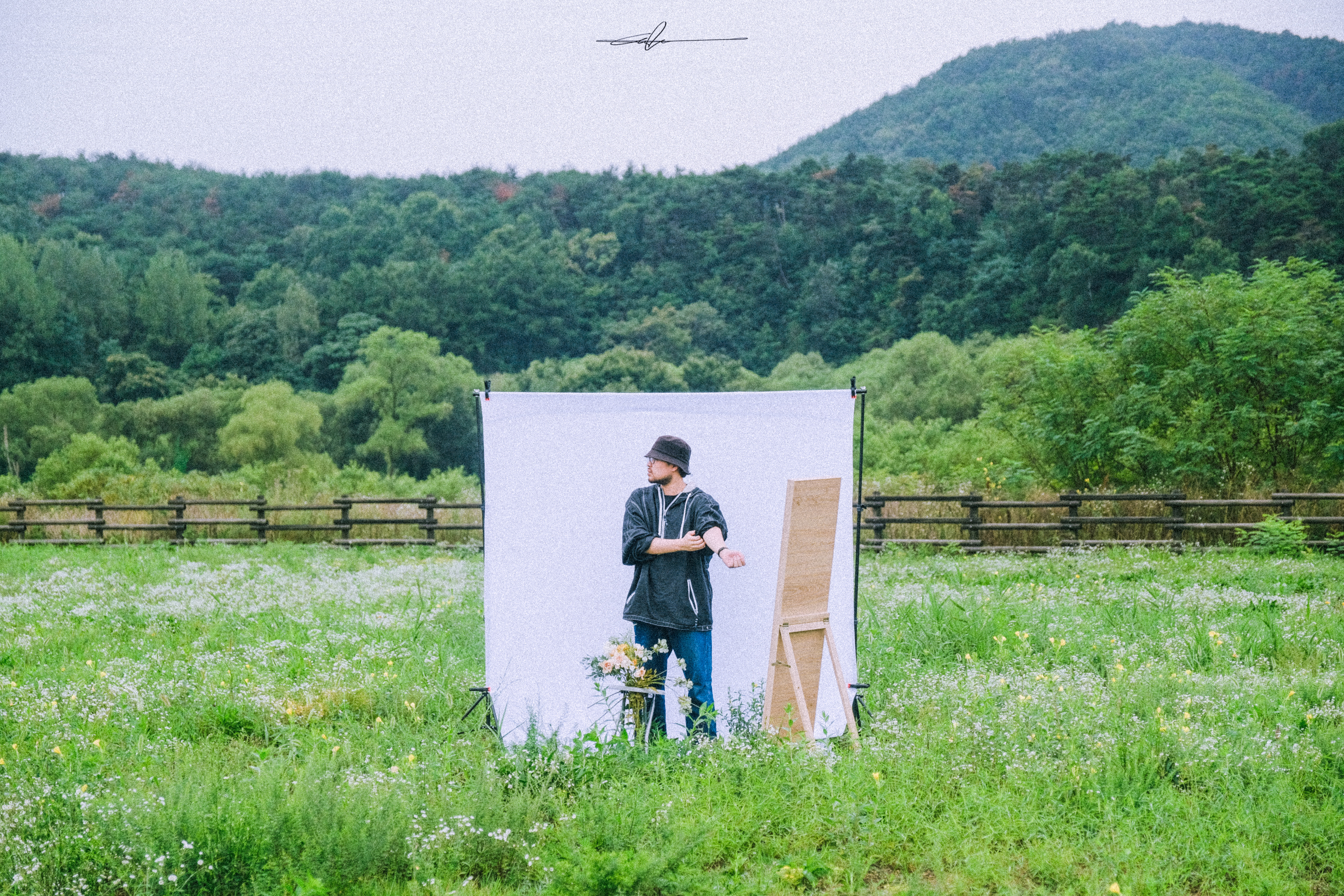  #f4e19f  ISOLATION_2