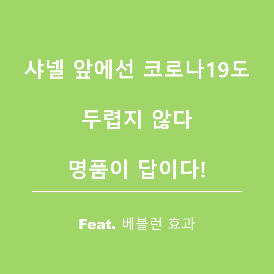  루이비통, 샤넬 가격 인상과 주식 투자 전망(feat.베블런효과)