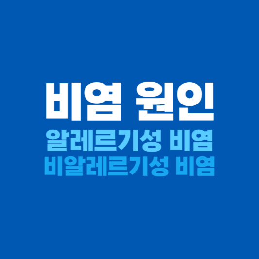 비염 원인 알레르기