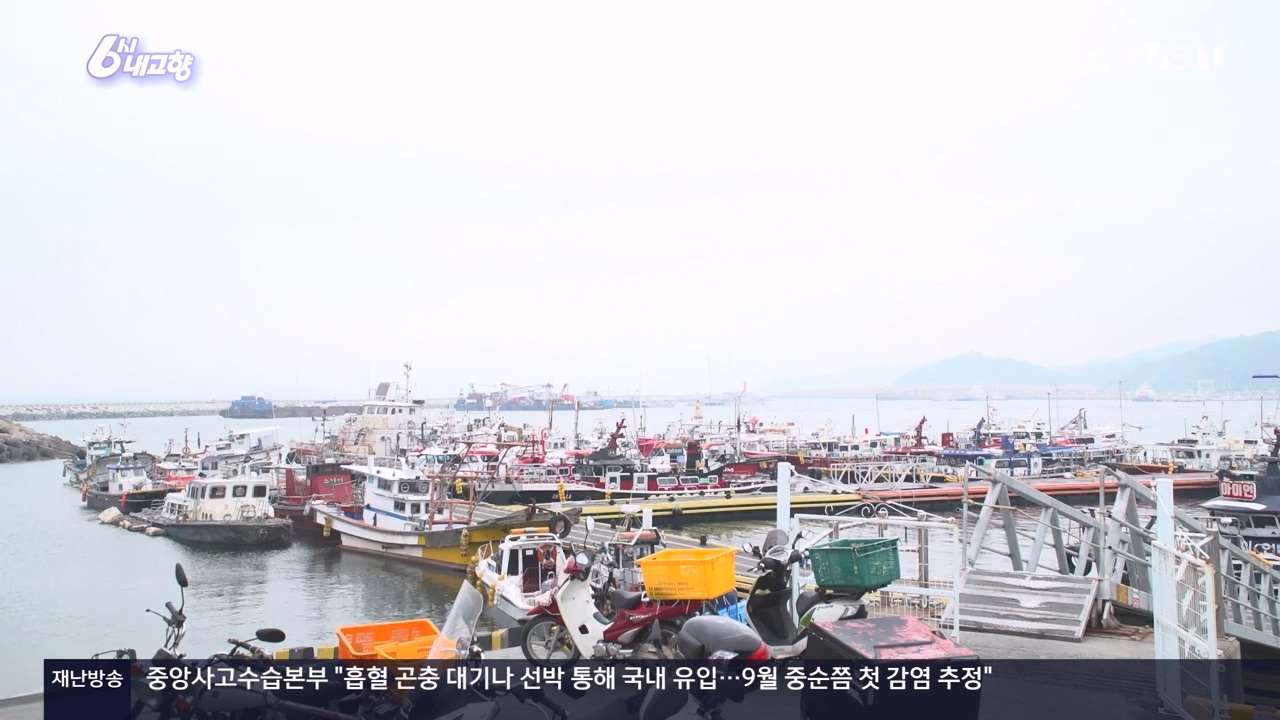 6시 내고향.E7910.231032p-NEXT.mp4_20231101_204604.251.jpg