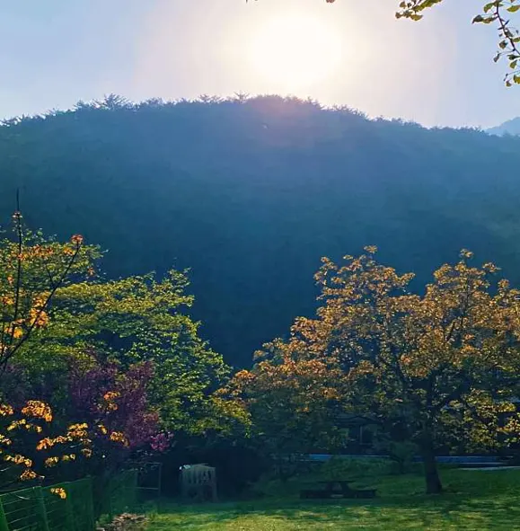 캄파슬로우