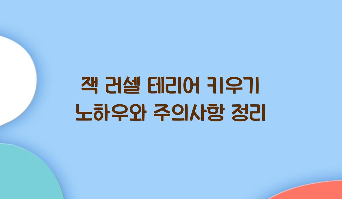 잭 러셀 테리어 키우기