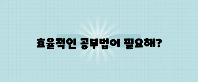 IT 자격증 한 달 만에 취득하는 학습 로드맵