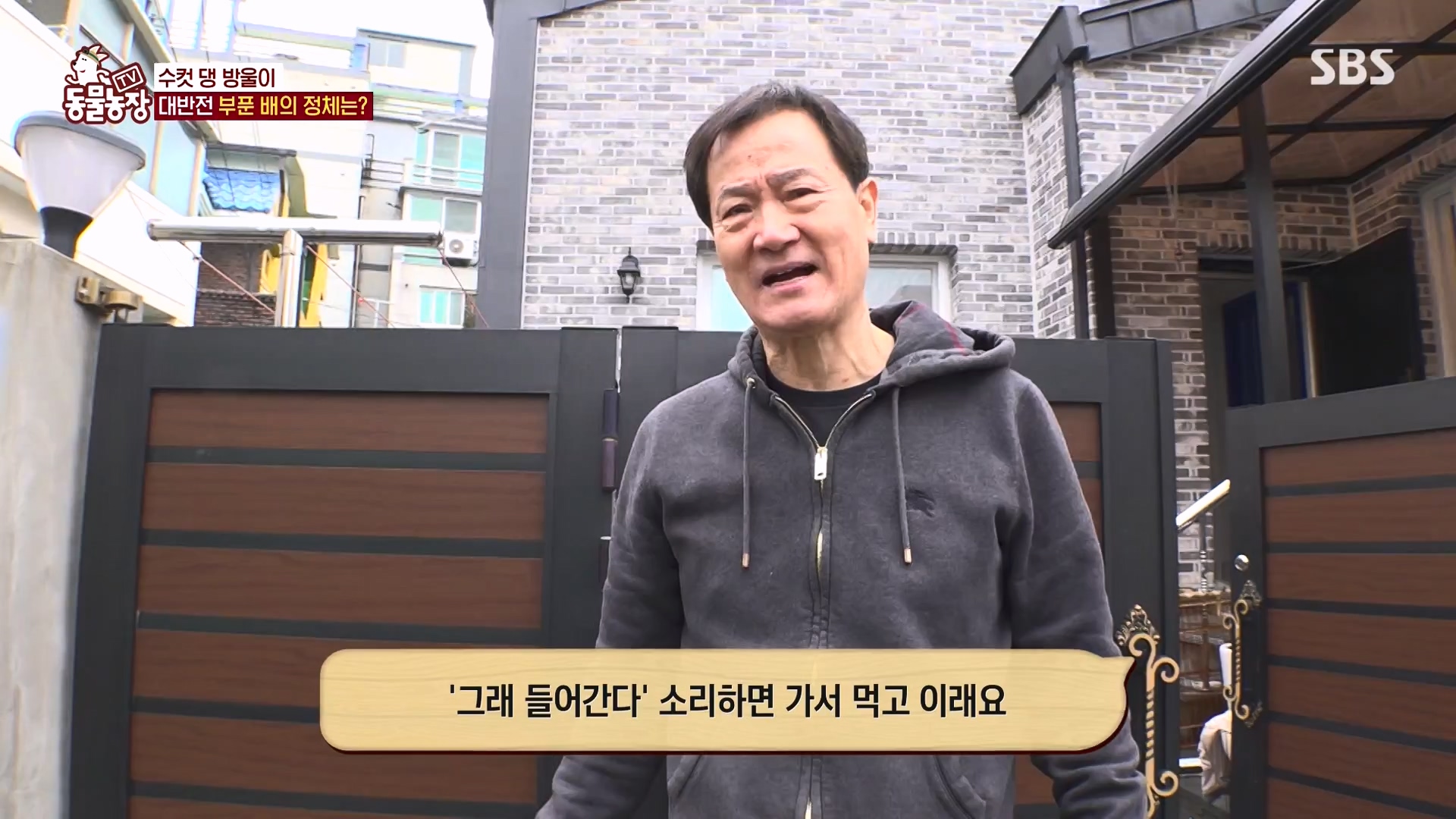 TV 동물농장.E1162.240310p-NEXT.mp4_20240310_162845.767.jpg