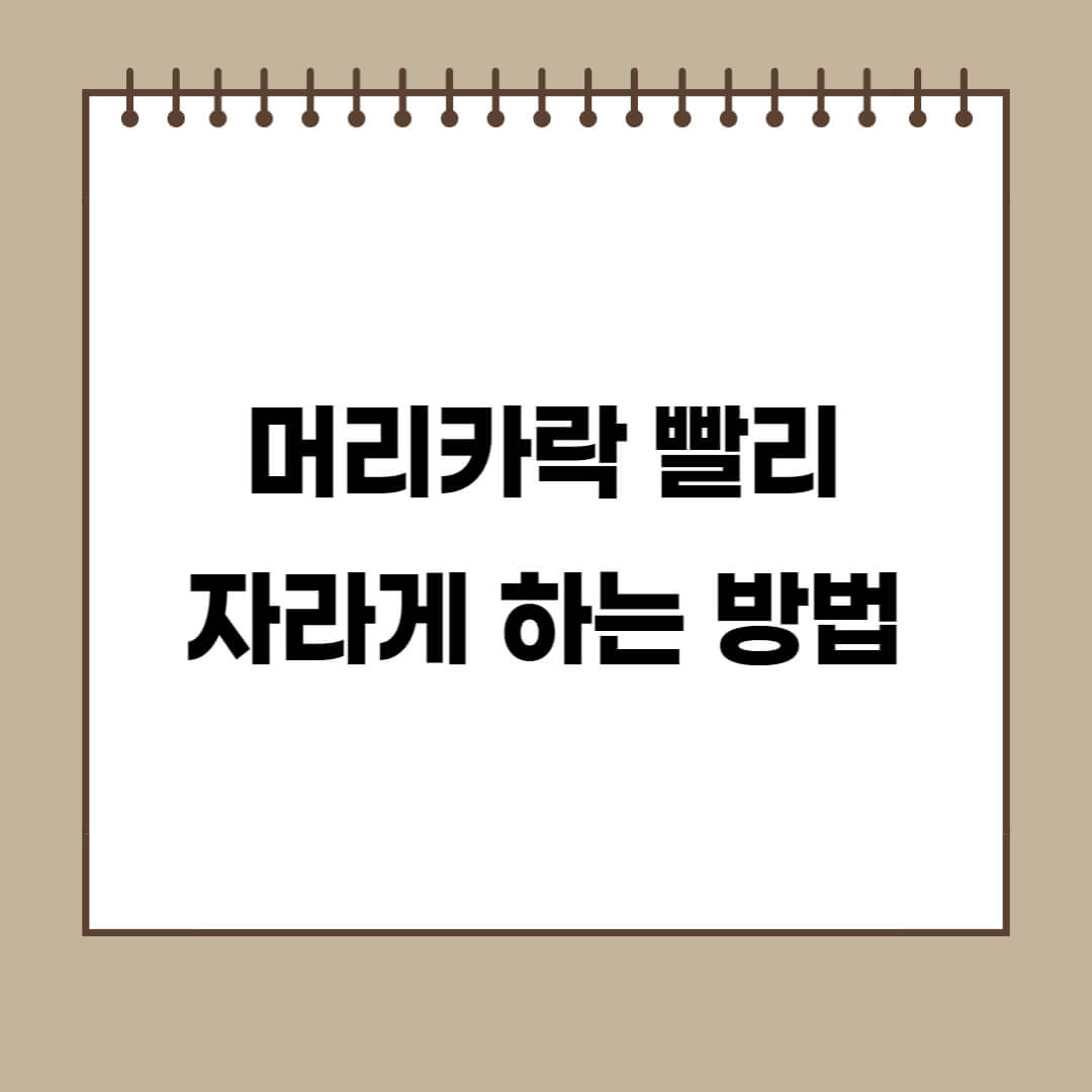  머리카락 빨리 자라게 하는 방법
