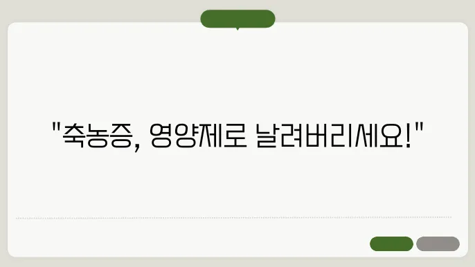 축농증에 좋b은 영양제