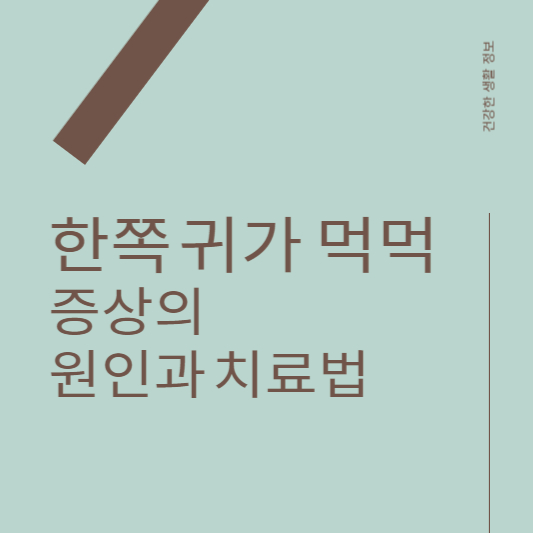 한쪽 귀에 난청