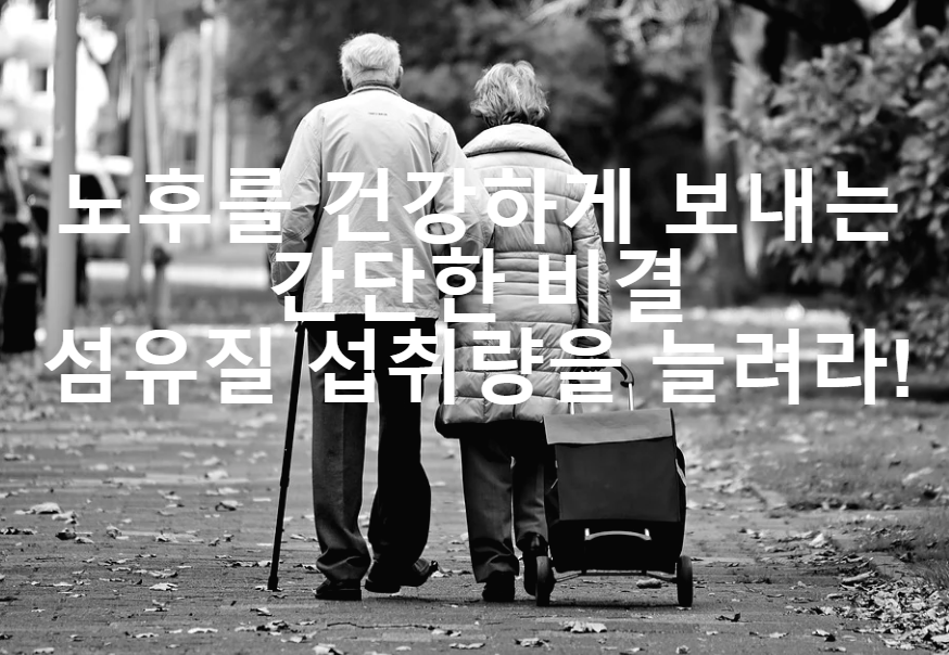  50세 이후 노후를 건강하게 보낼 수 있는 간단한 비법은 섬유질 섭취량을 늘려라!