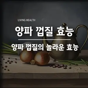  양파 껍질 효능