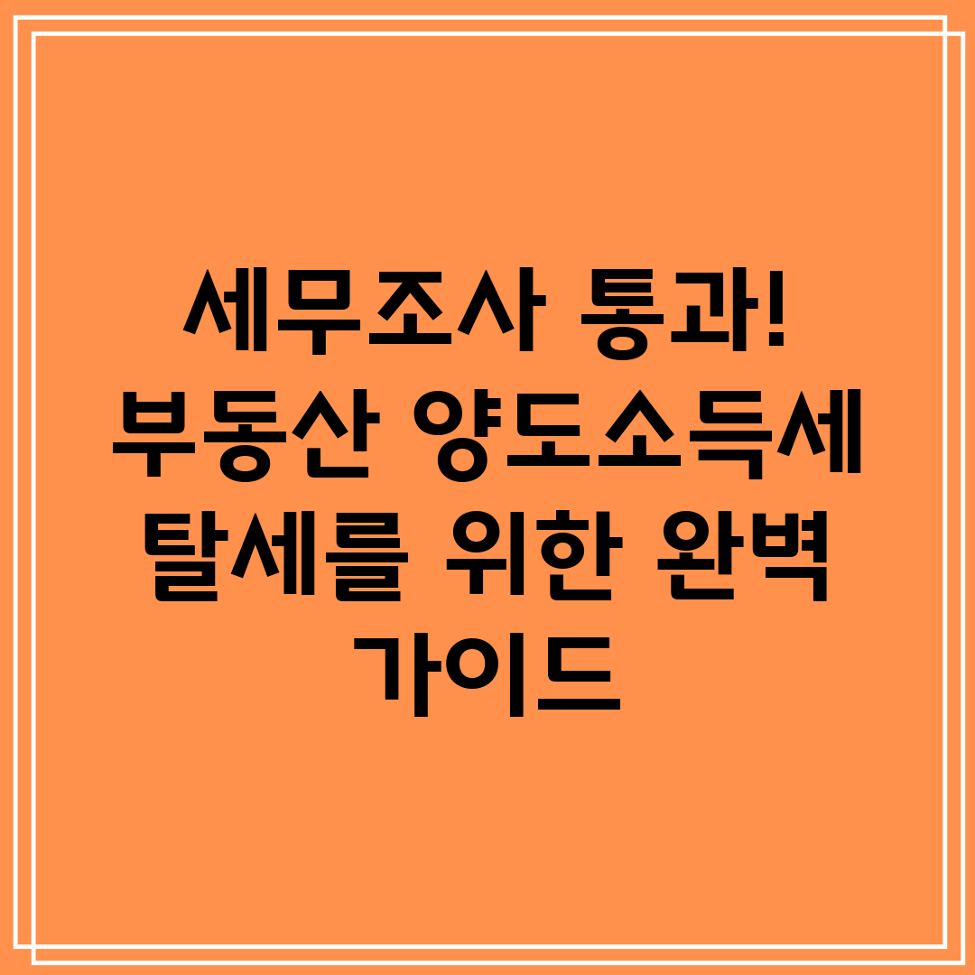 세무조사 통과! 부동산 양도소득세 탈세를 위한 완벽 가