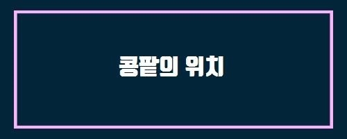  콩팥의 위치