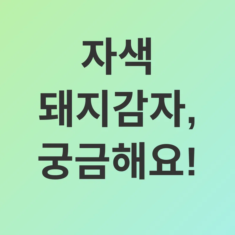 자색돼지감자_4