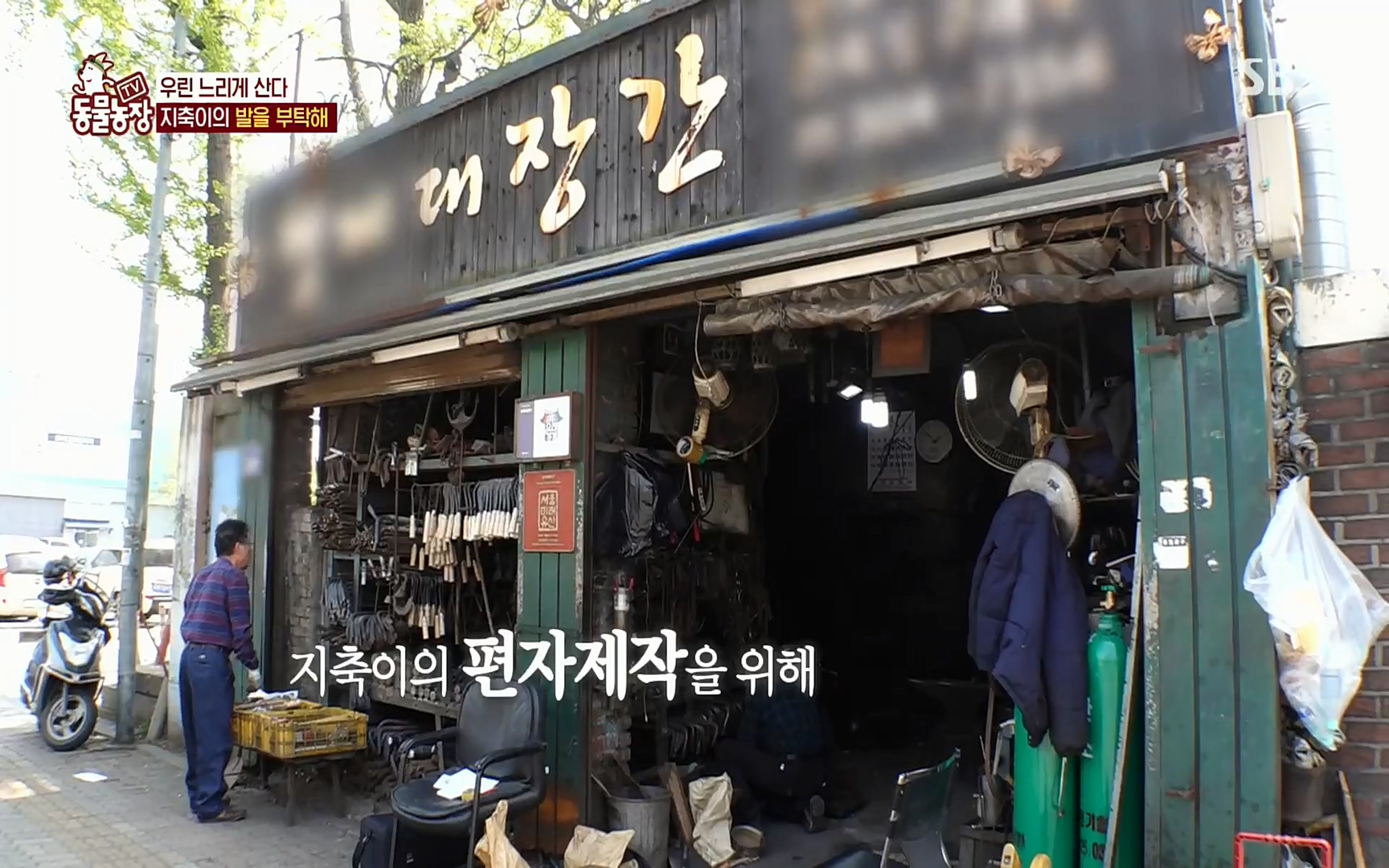 TV 동물농장.E1074.220619p.H264-F1RST.mp4_20220619_181826.318.jpg