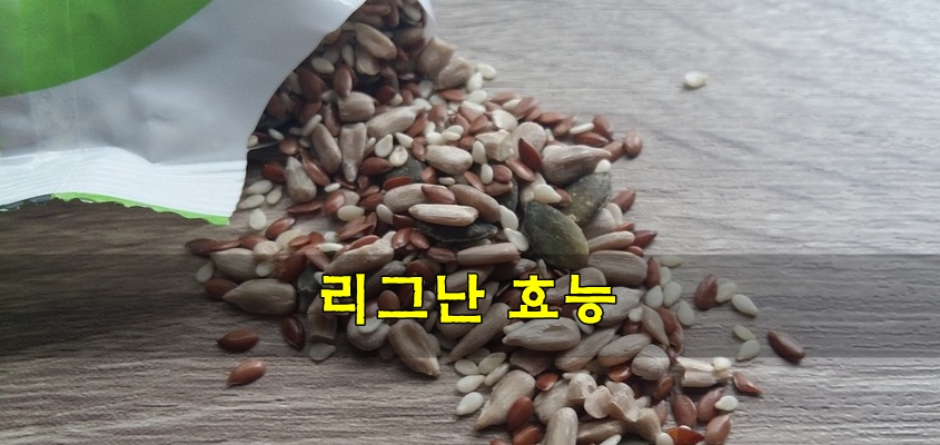  리그난 효능