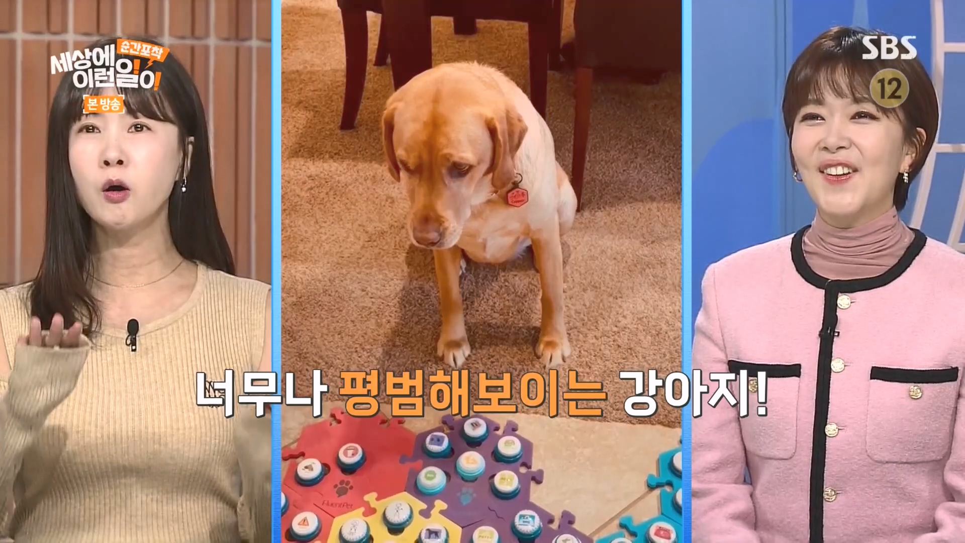 순간포착 세상에 이런일이.E1266.240224p.H264-F1RST.mp4_20240225_162506.955.jpg