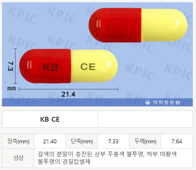 쎄파렉신 가격