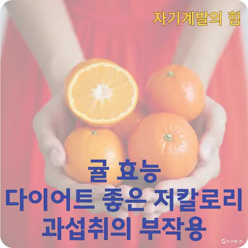 귤 효능