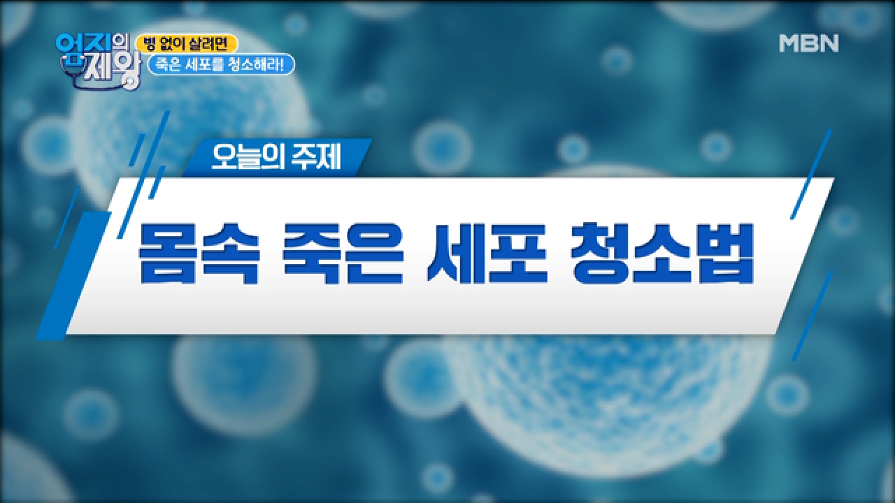  엄지의 제왕 죽은 세포 청소법 모방 단식 오토파지쥬스 다이어트 비결 체중감량 변비탈출 오토파지 해독주스 레시피 노화잡는 항산화 음식 마늘양파꿀절임 마늘양파껍질물 레시피 뇌건강 치..