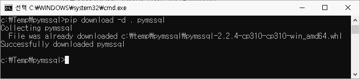 [Python] 오프라인 환경에서 pymssql로 MSSQL 연동하기