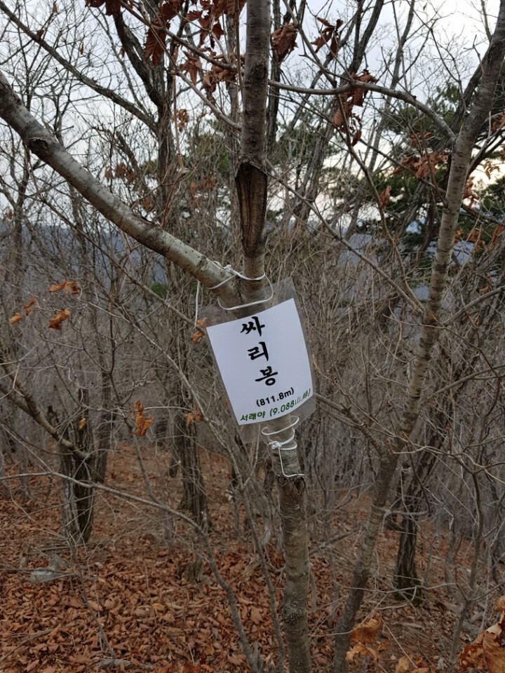 한강기맥 (농다치고개, 소구니산, 32