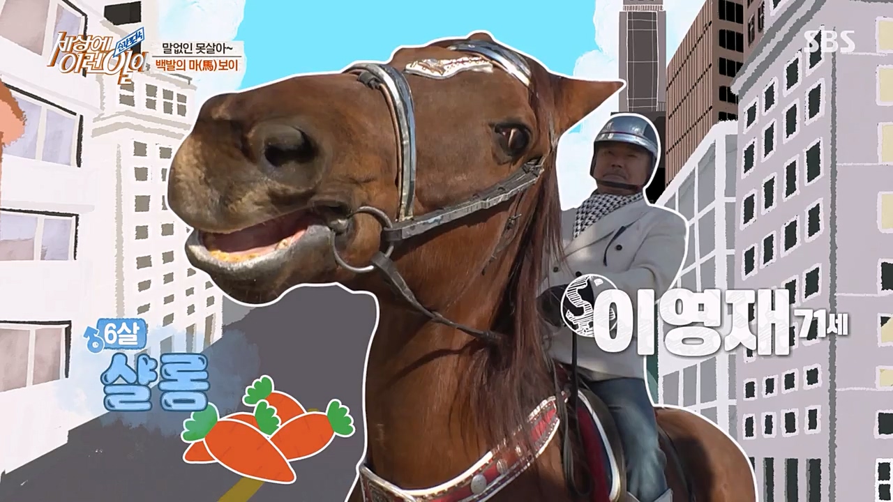 순간포착 세상에 이런일이.E1216.230208p-NEXT.mp4_20230208_193539.391.jpg