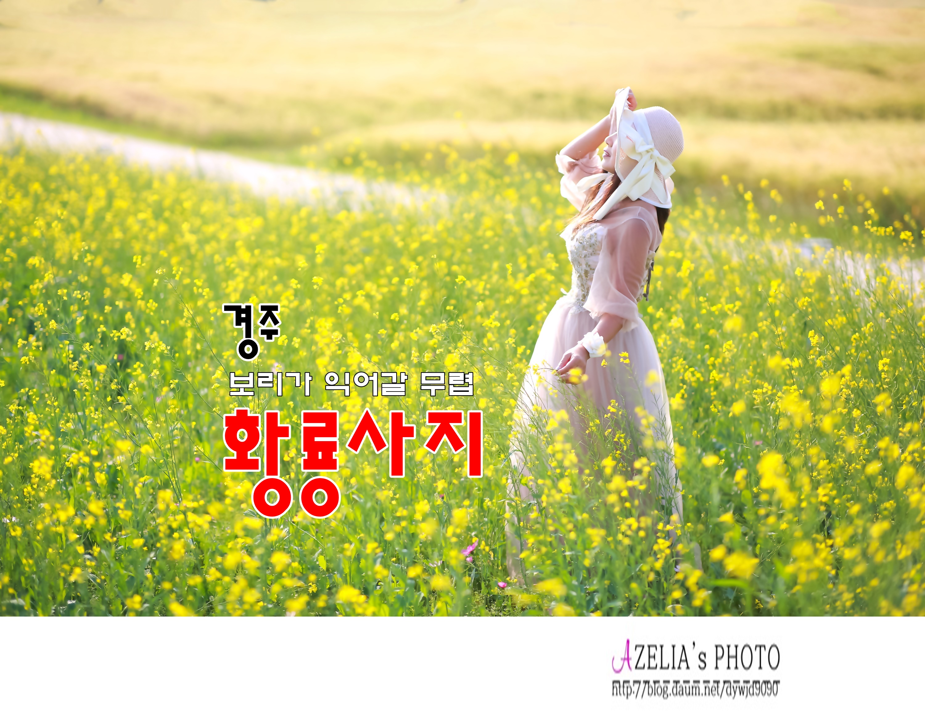보리가익어갈무렵 이미지