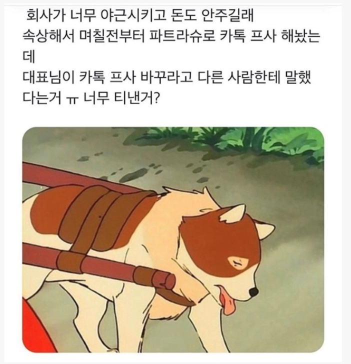  카톡 프사까지 바꾸라는 회사