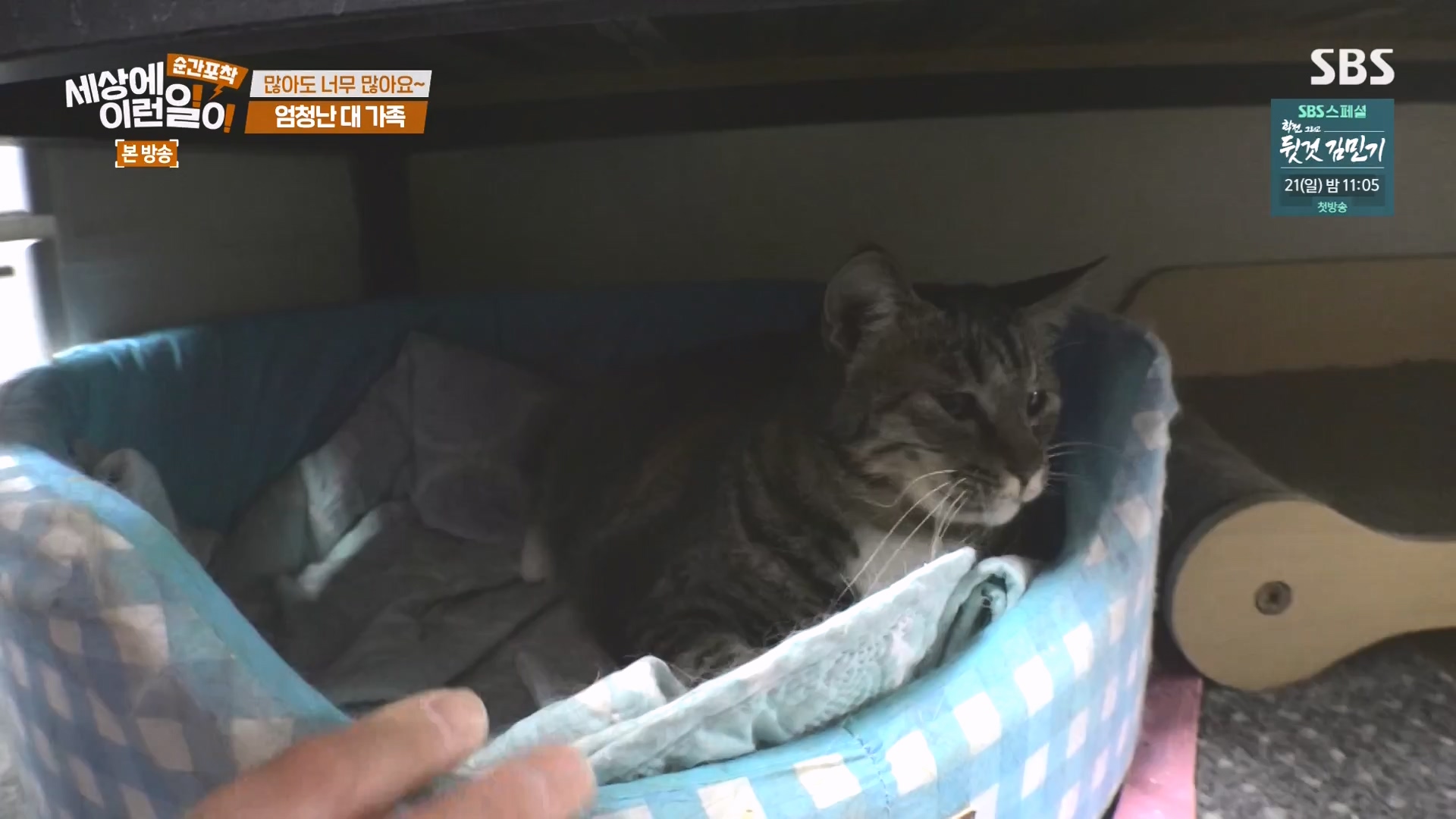 순간포착 세상에 이런일이.E1273.240413p-NEXT.mp4_20240414_135942.816.jpg