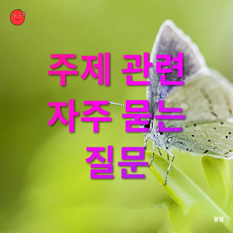 개성 있는 증명사진_4