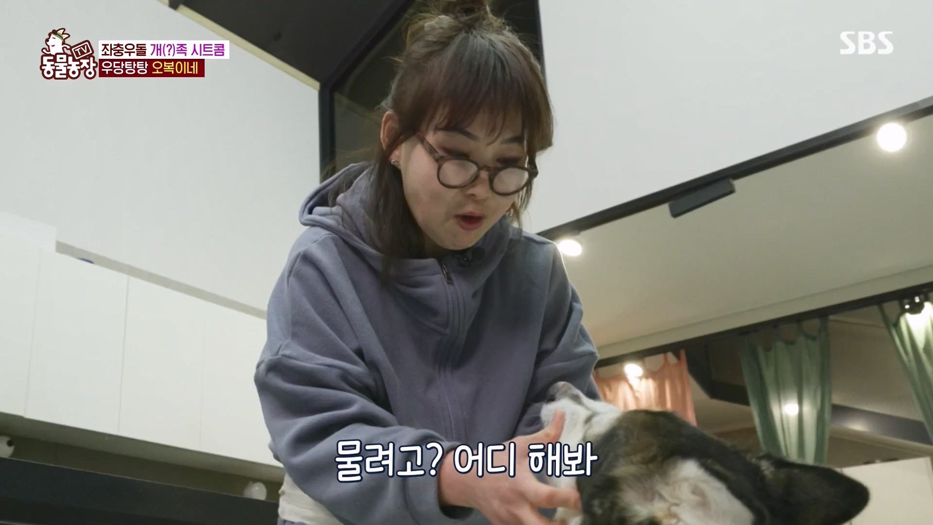TV 동물농장.E1166.240407p-NEXT.mp4_20240407_164455.243.jpg