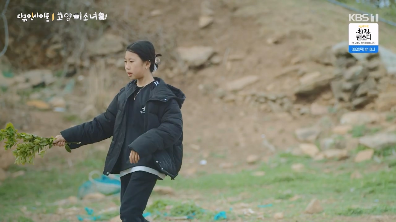 다큐 인사이트.E189.240524p-NEXT.mp4_20240524_205100.812.jpg