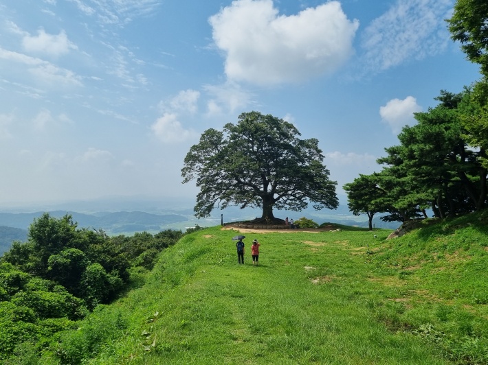 가림성