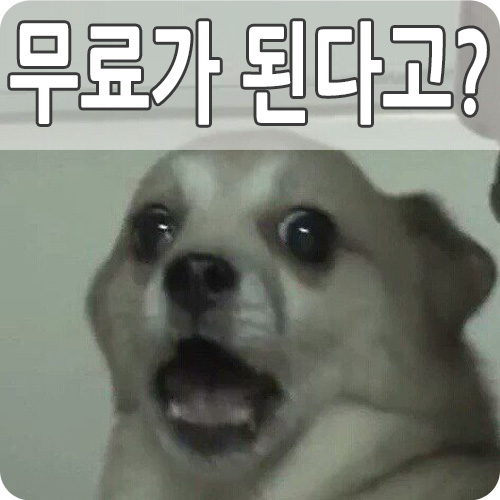  용량 유료화  된 구글 포토 무료 사용법