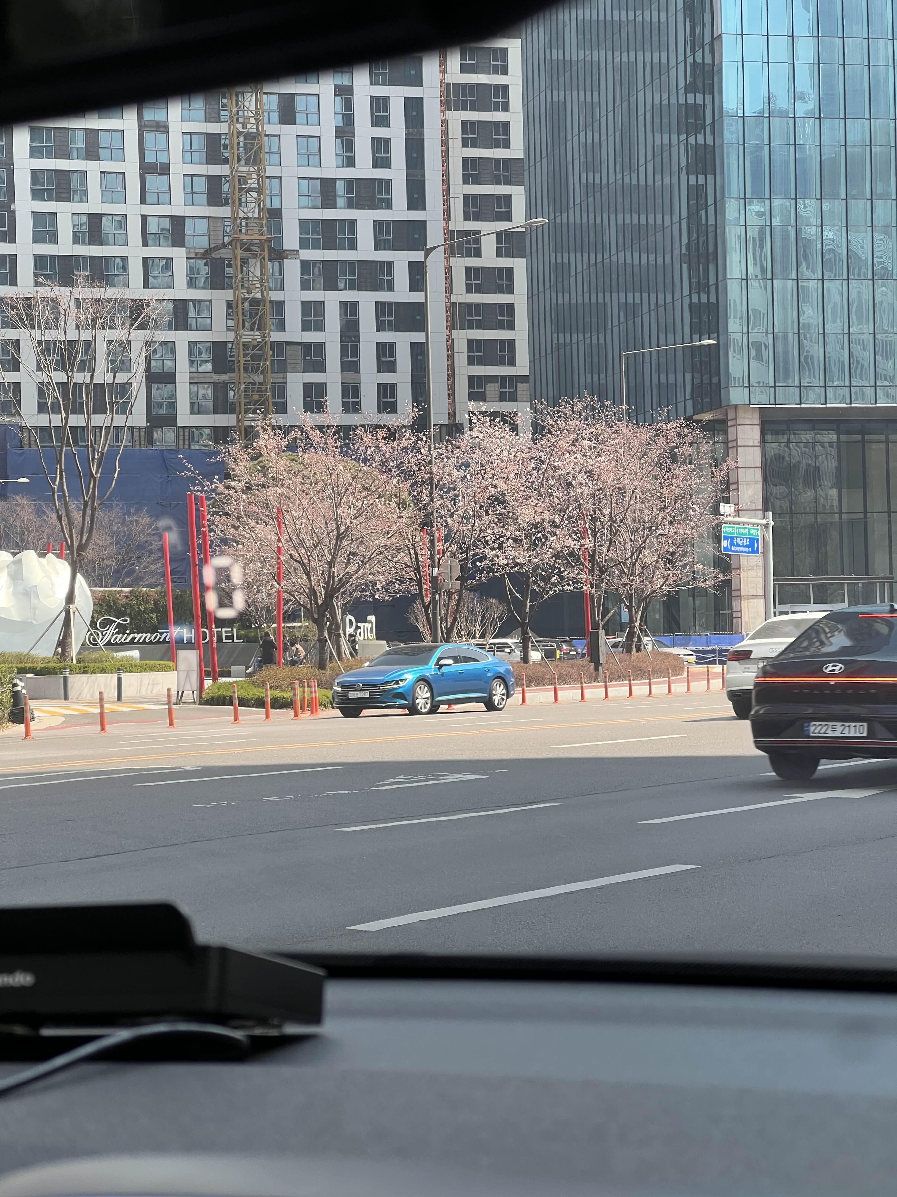 여의도 벚꽃의 윤중로 상황 / 2023.03.27 13