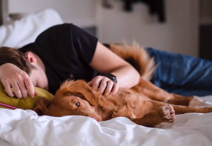 검은 티를 입은 남자가 갈색 털의 강아지와 함께 침대에 누워서 자고 있는 모습