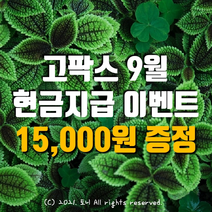  (2021.9월) 고팍스 15,000원 리워드 현재도 지급 중. (추천 앱테크. 현금증정이벤트, 현금지급이벤트)