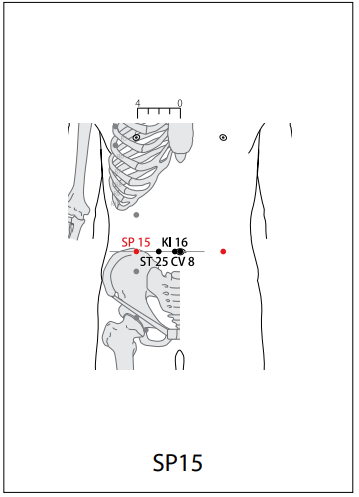 족태음비경 (SP) > SP15 대횡 (大橫) 1
