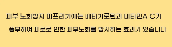  4. 피부 노화방지 파프리카에는 베타카로틴과 비타민A, C가 풍부하여 피로로 인한 피부노화를 방지하는 효과가 있습니다.