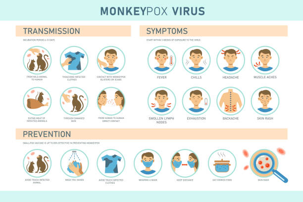 엠폭스(원숭이 두창) 감염경로&#44; 증상 및 예방법