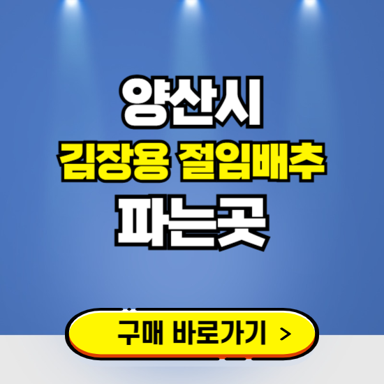 양산시 절임배추 사전예약 구입하는곳 ❘ 김장배추 파는곳 가격보기